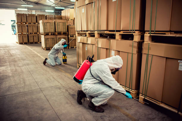 Best Pest Control for Businesses  in Barrackville, WV