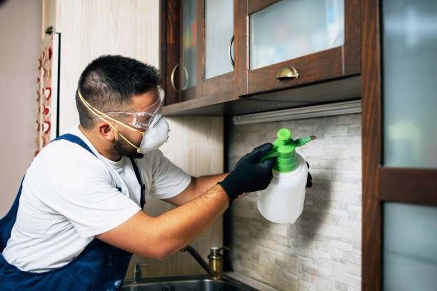 Best Best Pest Control Companies  in Barrackville, WV
