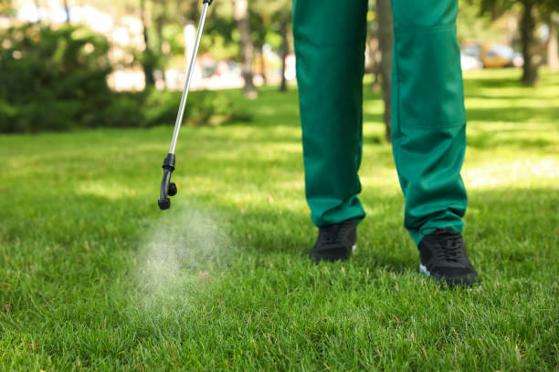 Best Affordable Pest Control Services  in Barrackville, WV